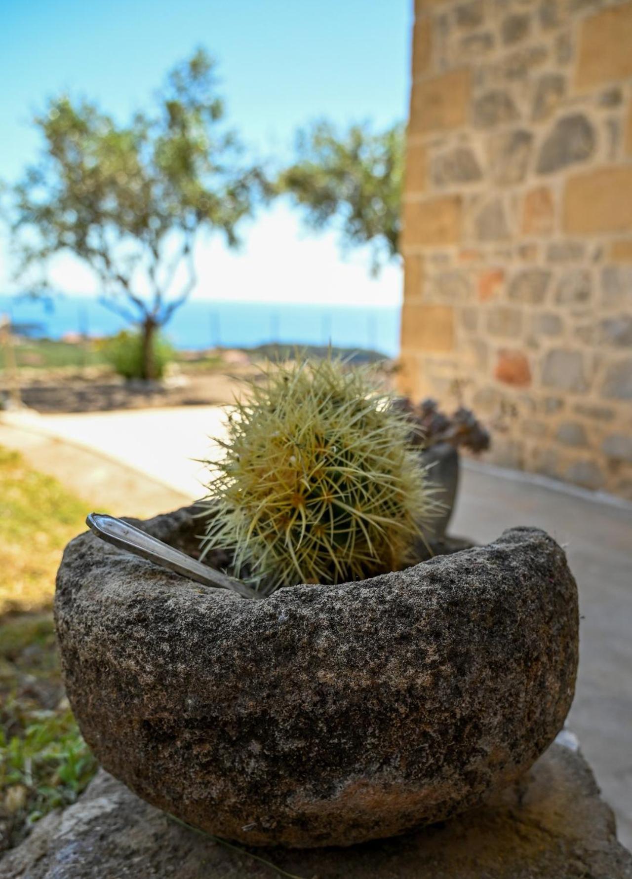 הוילה Athina'S Stone House In קרדמילי מראה חיצוני תמונה