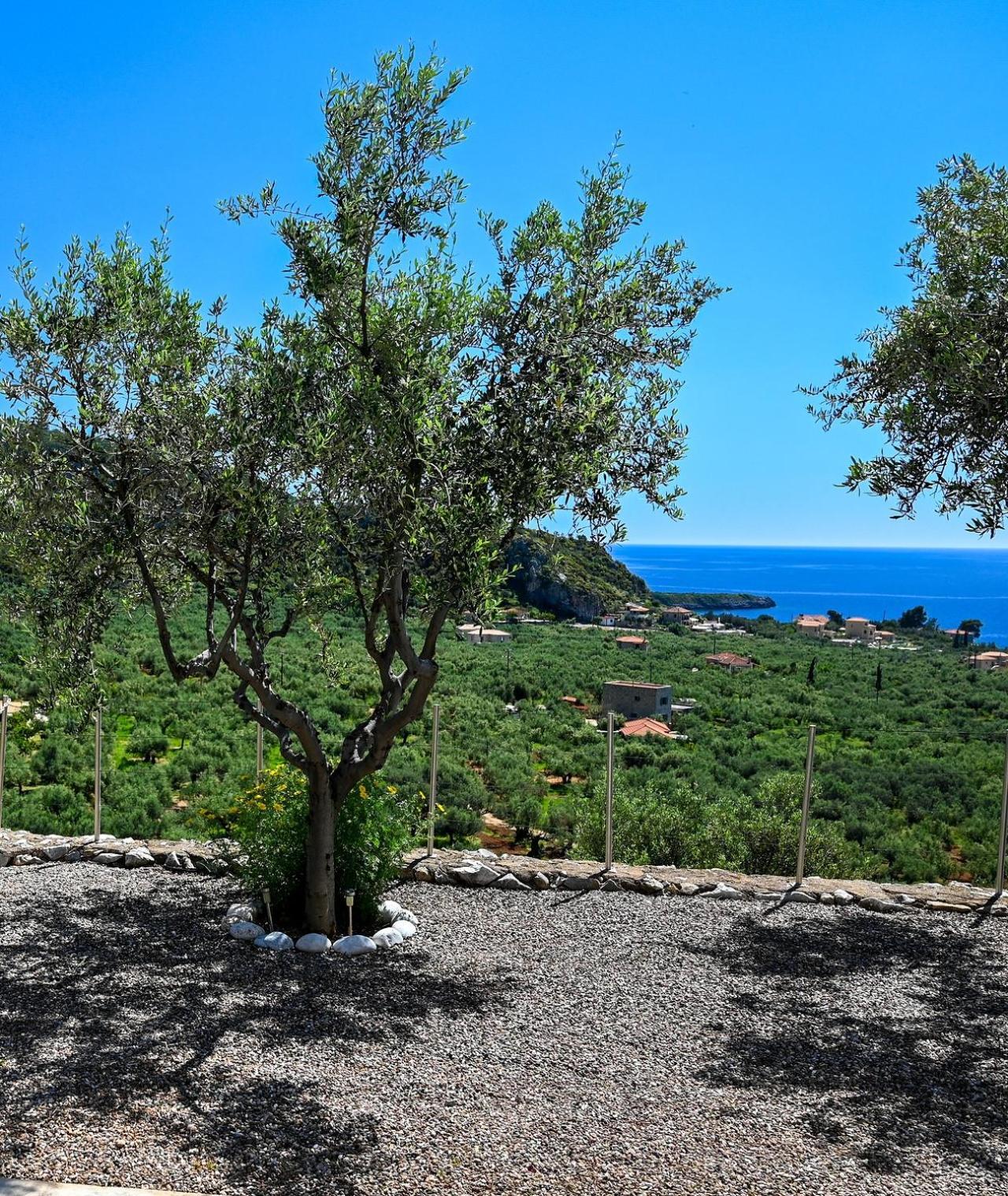 הוילה Athina'S Stone House In קרדמילי מראה חיצוני תמונה