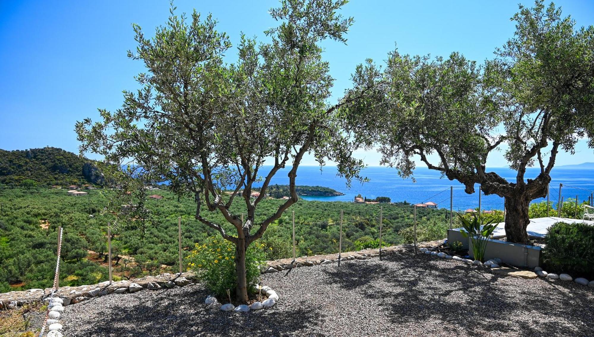 הוילה Athina'S Stone House In קרדמילי מראה חיצוני תמונה